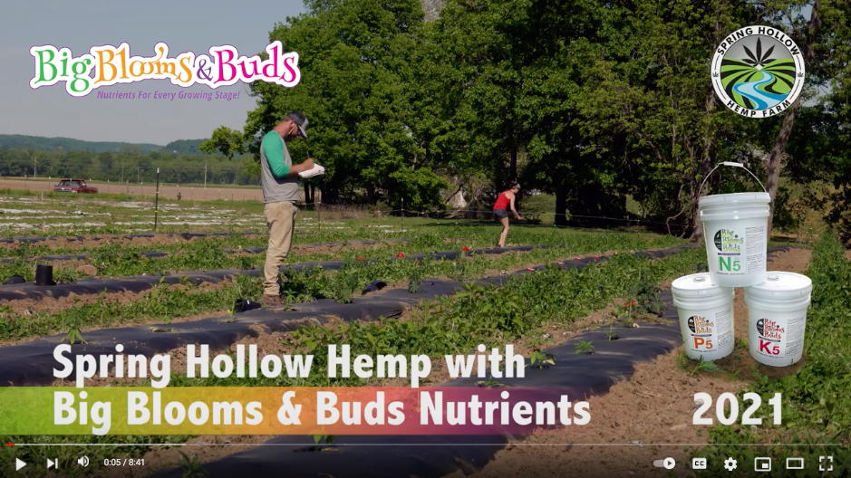 Load video: hemp cbd farm