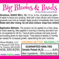 Big Blooms & Buds Combo Starter Suite Kit (3) Half Pint Concentrates